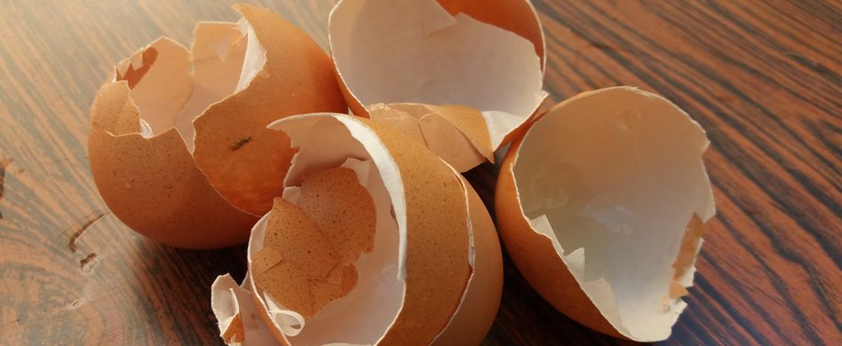 Eierschalen mal anders verwenden: 5 Tricks, die Gold wert sind