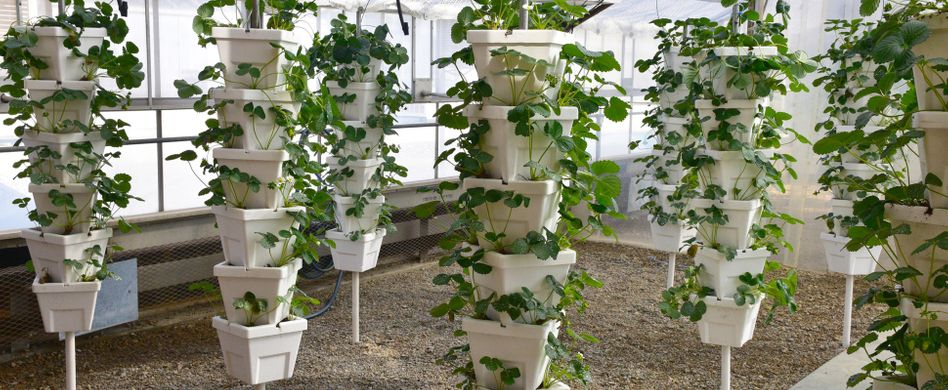 Erdbeerturm selber bauen: Kreative DIY-Idee für den Garten