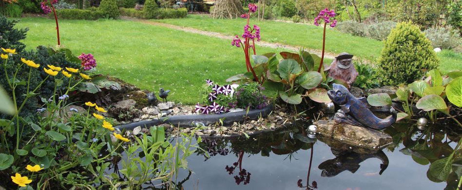 Fertigteich anlegen: Tipps zum Bau des kleinen Gartengewässers