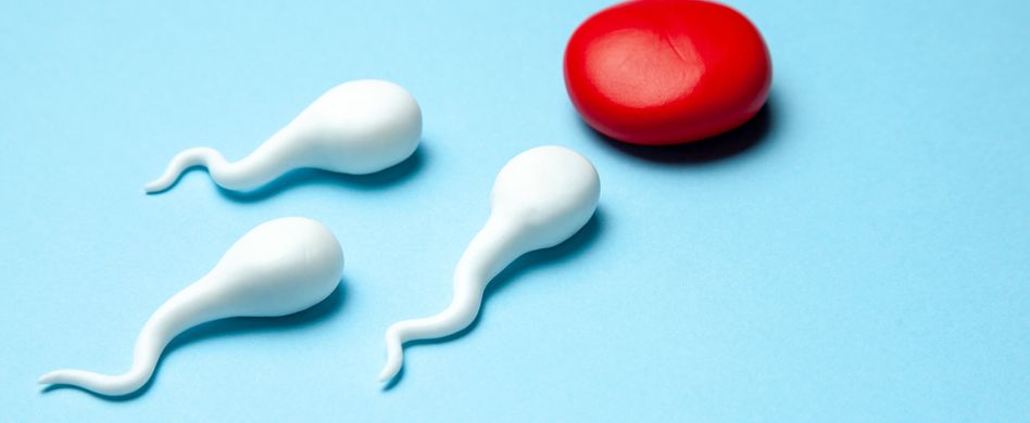 Folsäure für Männer: Besseres Sperma Dank Vitamin B9?