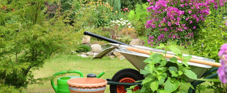 Garten im Juli: Tipps für die sommerliche Gartenpflege