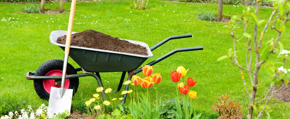 Gartenarbeiten im Mai: Bekämpfen Sie Ungeziefer zeitnah