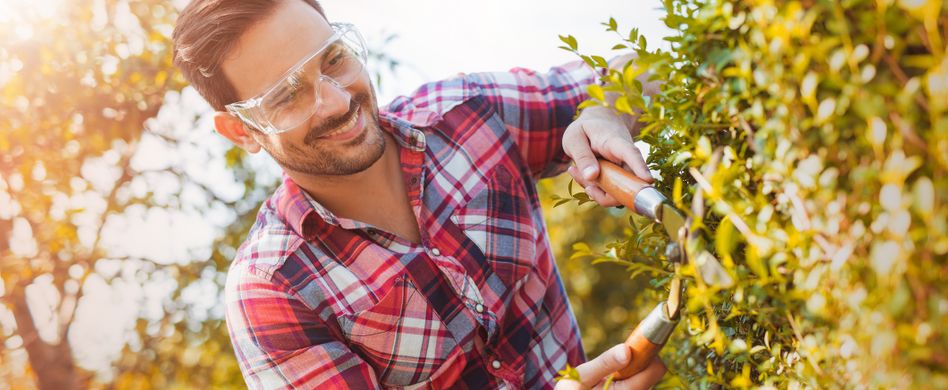 Gartengestaltung – Das müssen Sie über die Hecke wissen