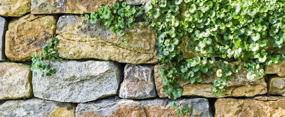 Gartenmauer gestalten: 25 wunderschöne Ideen für den Gartentraum
