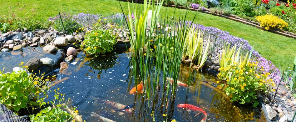 Gartenteichpumpe kaufen: Tipps für mehr Sauerstoff im Teich