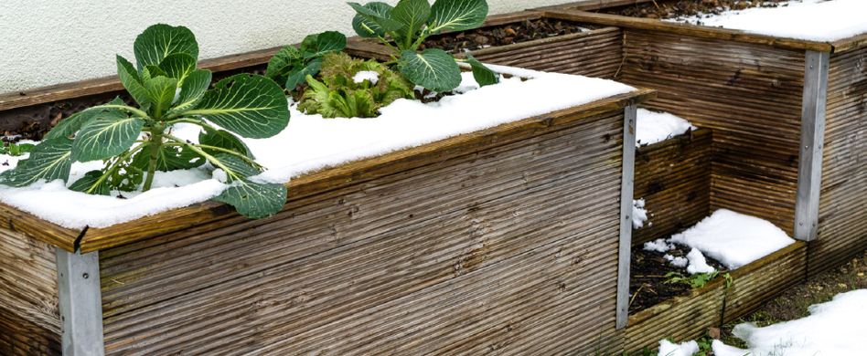 Gemüsebeet winterfest machen: Schutz vor Frost und Schnee