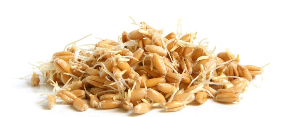 Getreide keimen: Das sind die Vorteile für die Verdauung