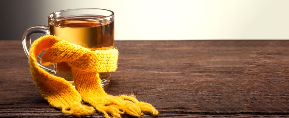 Heilpflanzen für das Immunsystem: 3 Tees lindern Erkältungsbeschwerden