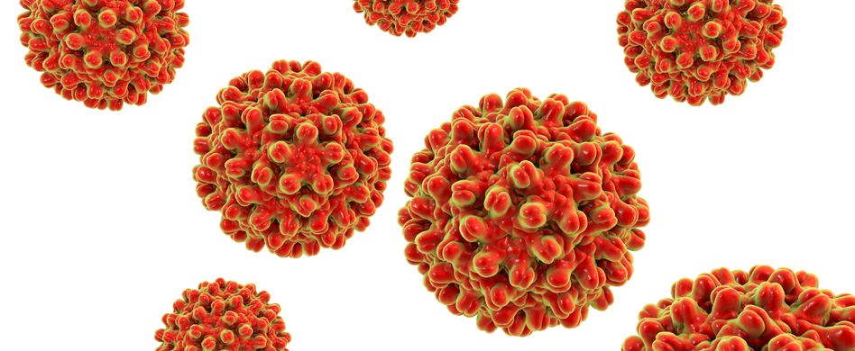 Hepatitis D: Seltene Leberentzündung ist schwer heilbar