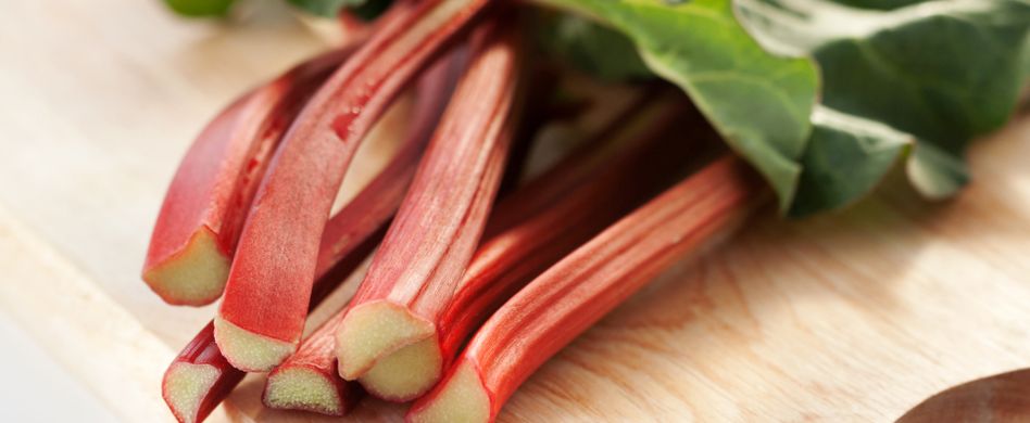 Ist Rhabarber giftig oder gesund? 5 Fakten zum fruchtigen Gemüse