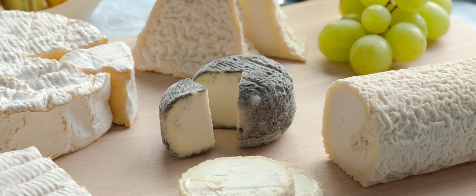 Käse aufbewahren: Tipps für lange Haltbarkeit und optimalen Genuss