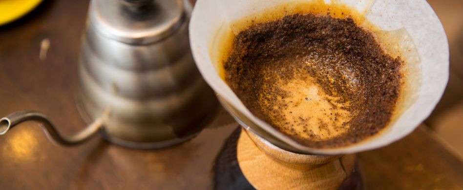 Kaffeesatz verwenden: 6 clevere Tipps zum Hausmittel