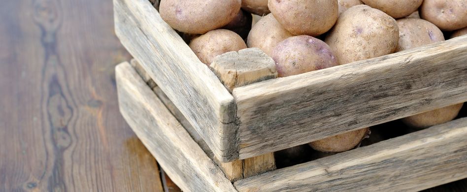 Kartoffeln lagern: Tipps für besonders lange Haltbarkeit