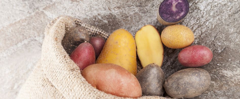 Kartoffelsorten für den Garten: Von mehlig bis festkochend