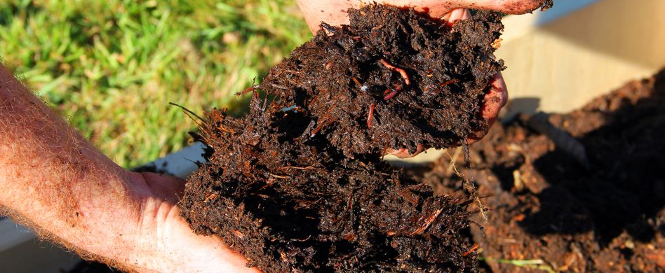 Kompost: So können Sie das schwarze Gold im Garten nutzen