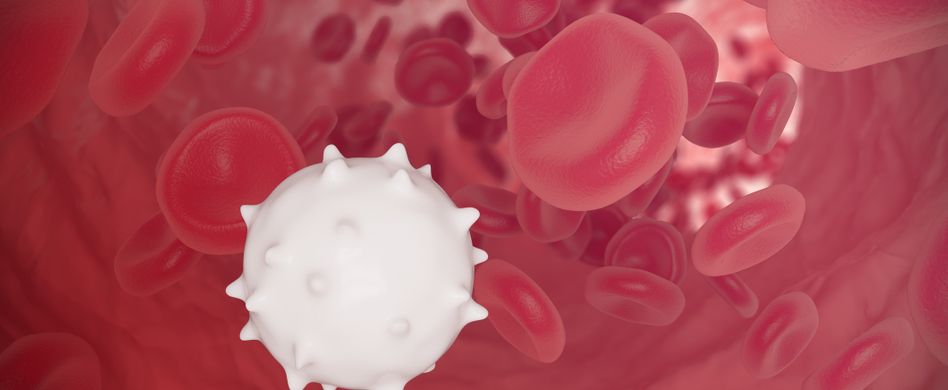 Leukämie vorbeugen: Wie kann man sich vor Blutkrebs schützen?