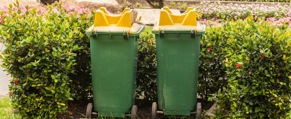 Mülltonnen verstecken: 4 Ideen, wie die Tonnen verschwinden