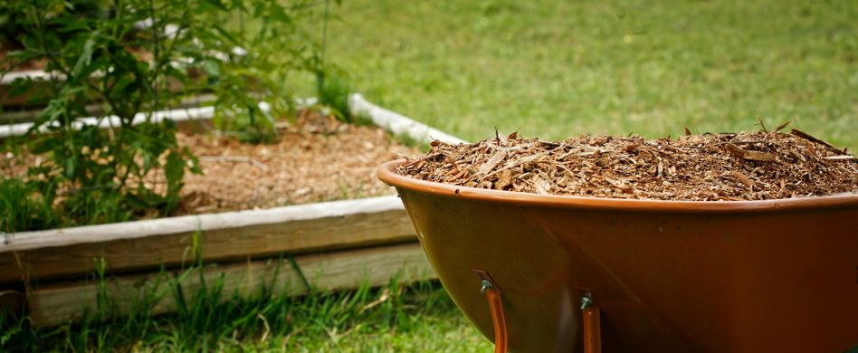 Richtig mulchen: Tipps für die Bodenpflege im Garten