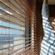 Sichtschutz für Fenster: Tipps zu Folie, Plissee, Rollo und Co.