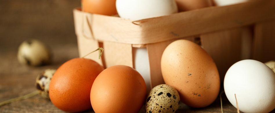 Sind die Eier noch gut? – Der ultimative Haltbarkeitstest