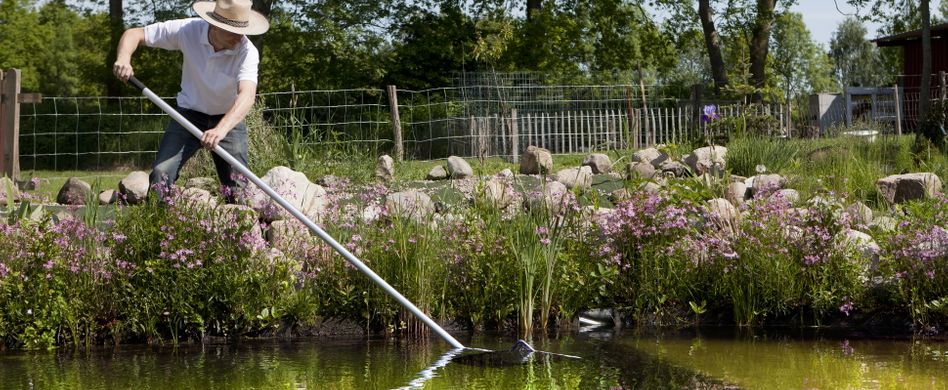 Teich reinigen: So wird Ihr Gartengewässer wieder sauber