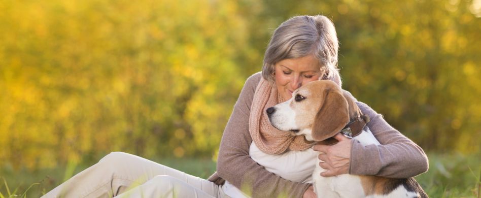 Therapiehund: Mit dem Hund Angststörung behandeln