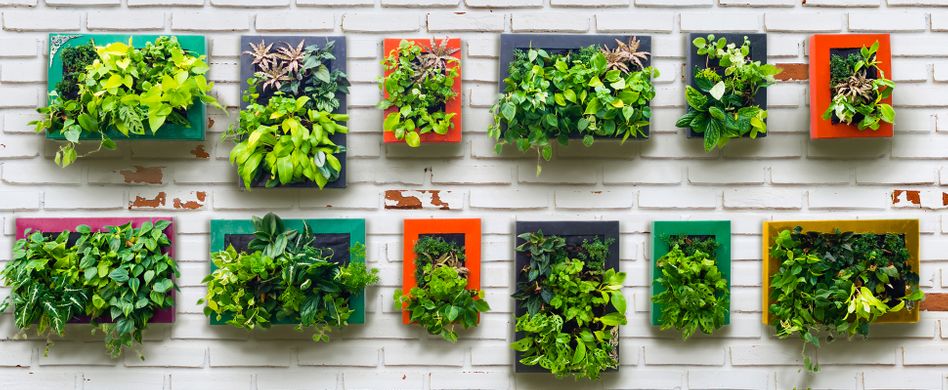 Vertikaler Garten: Selber bauen leicht gemacht – so einfach pflanzen Sie senkrecht