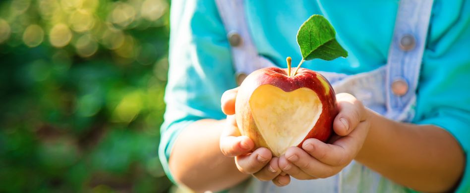 Vitamine im Apfel: So viele Nährstoffe stecken in dem Obst