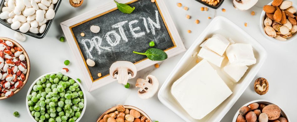 Wundermittel Protein? Warum der Körper Eiweiße braucht