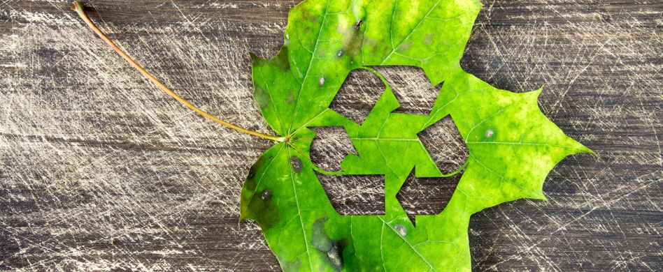 Zero Waste für Anfänger: 3 Tipps für weniger Müll im Alltag